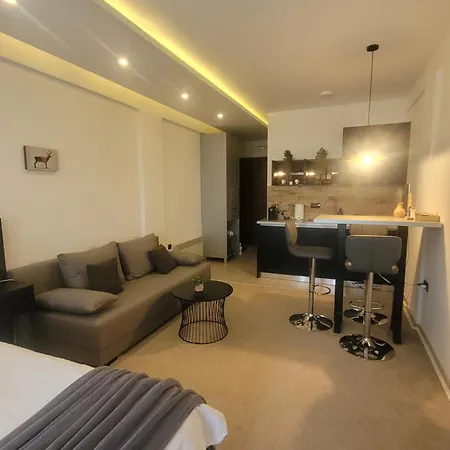 Milmari N66 コパオニク